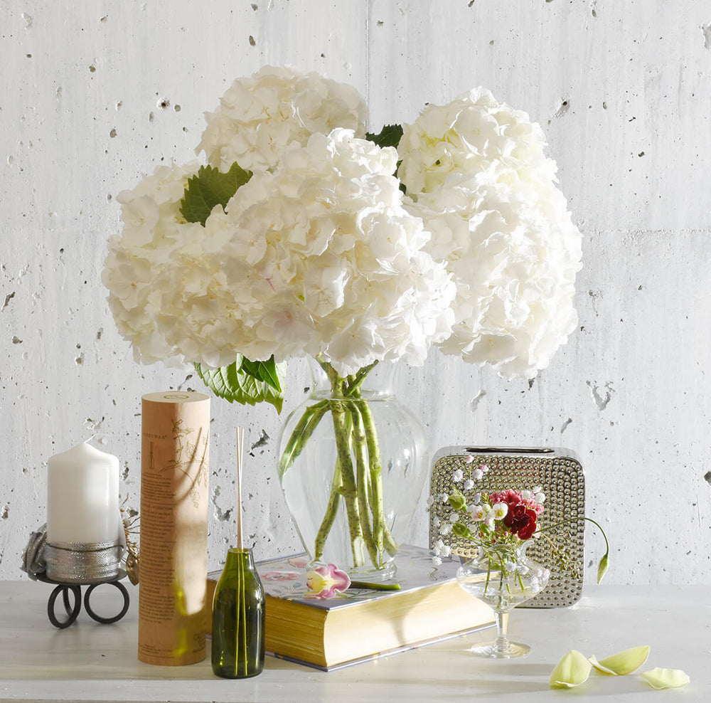 Bouquet with white hydrangeas in a glass vase.