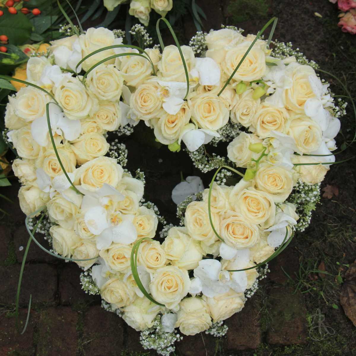 Why Roses are a Popular Choice for Funeral Flowers by Adele Rae Florists