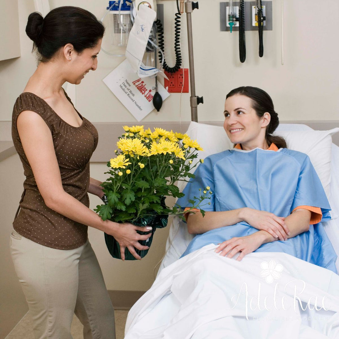 Flowers that Represent Health and Healing by Adele Rae Florists