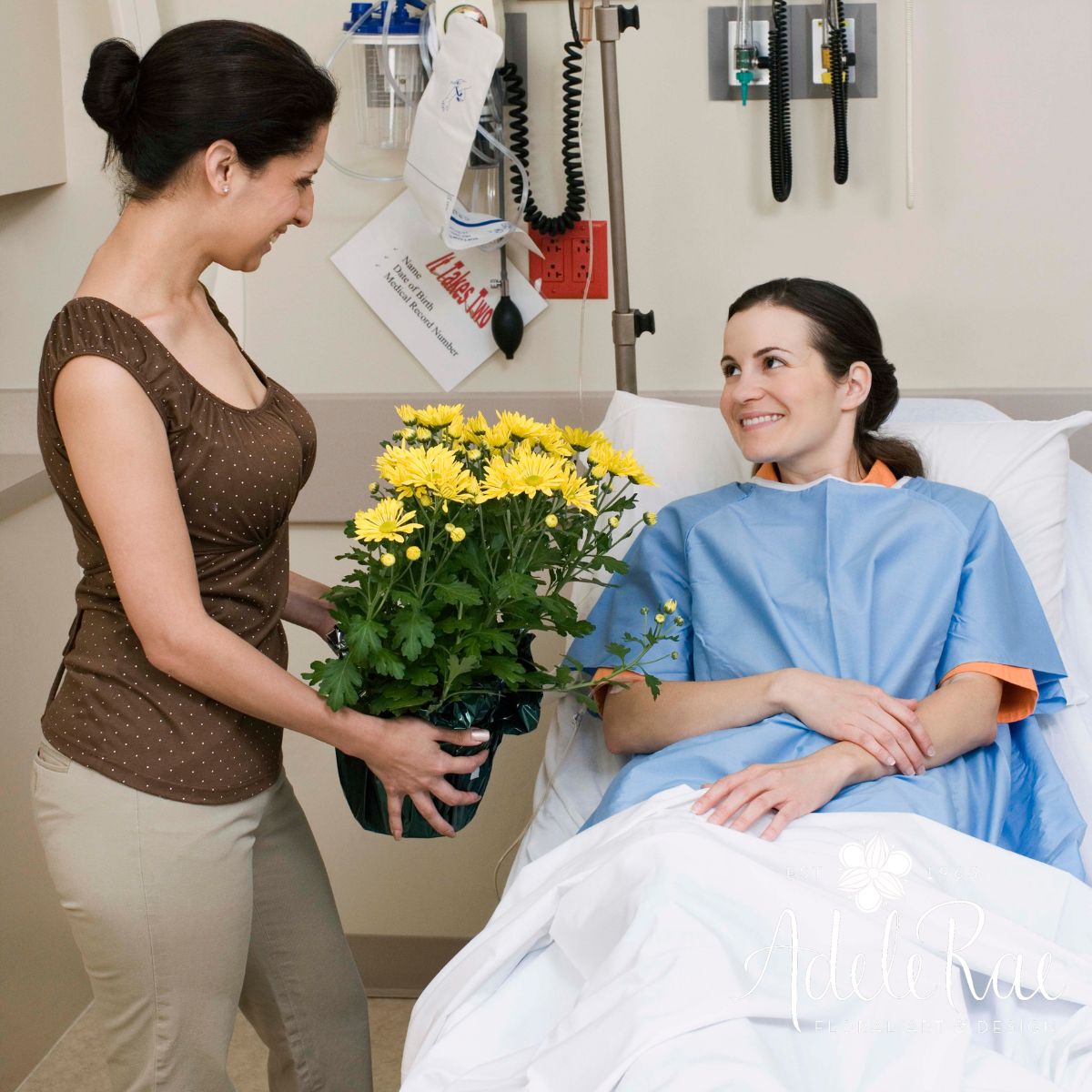 Flowers that Represent Health and Healing by Adele Rae Florists