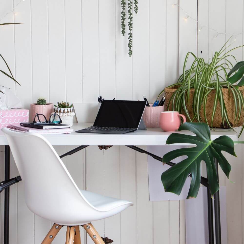 3 Ways indoor plants improve well-being and productivity in the workplace says Burnaby based Adele Rae Florists