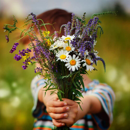 Importance of sending flowers in human society! by Burnaby Florist Adele Rae