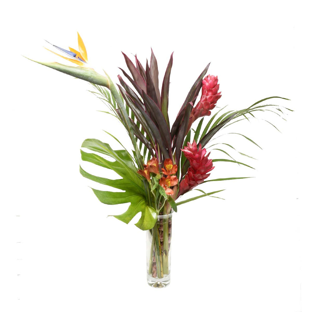 Bouquet d'anniversaire tropical (AR4286)