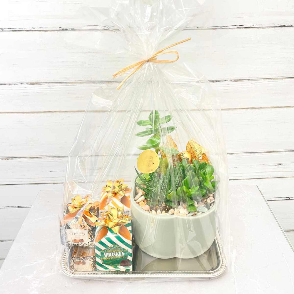 Atacama Succulent Christmas Gift Set (AR2503)