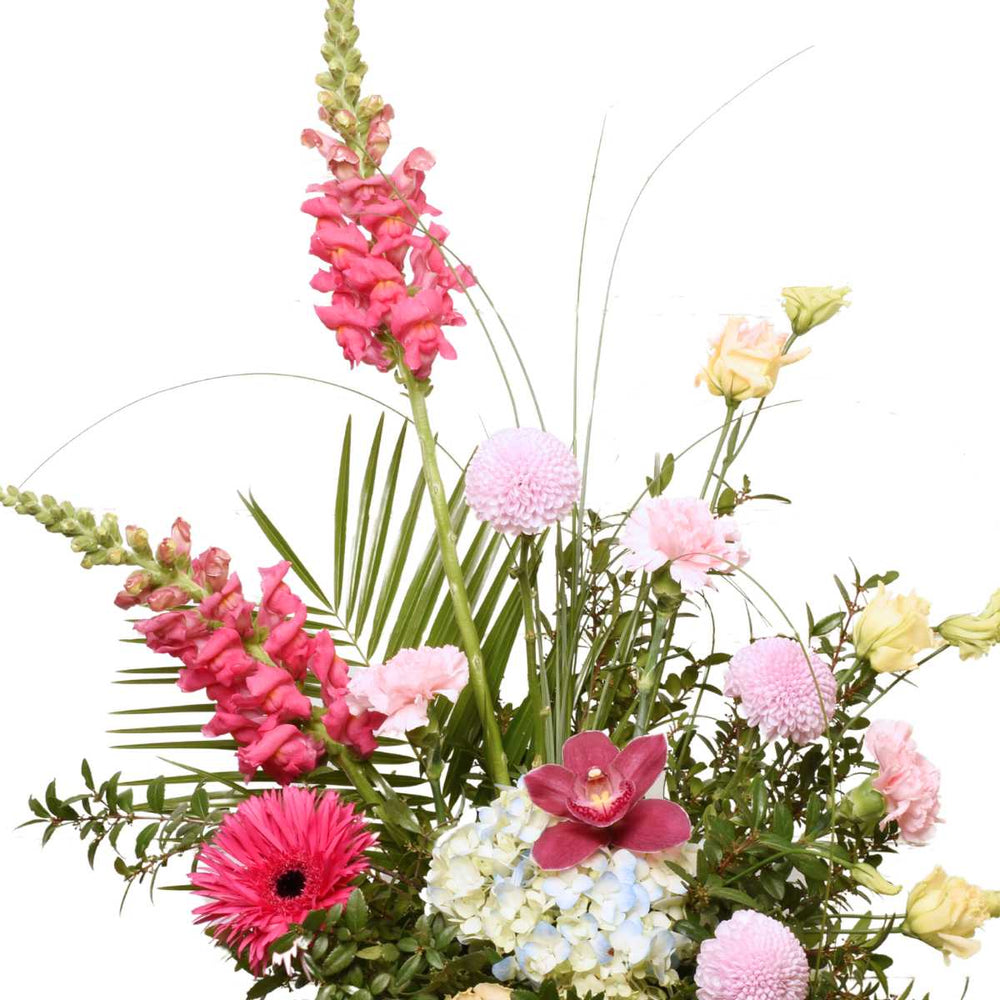 Radiant Wishes Birthday Arrangement (AR2266)