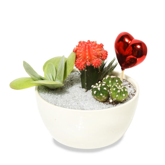 Gardens of San Sebastian  (AR2291)