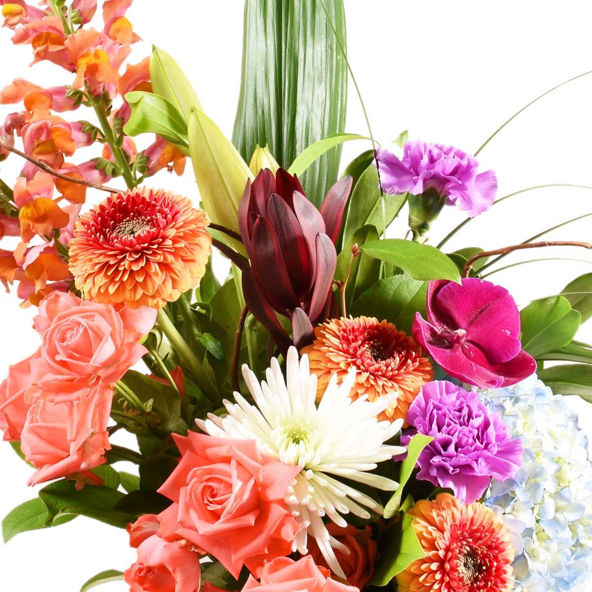 Bouquet of Beauty (ARX0514)