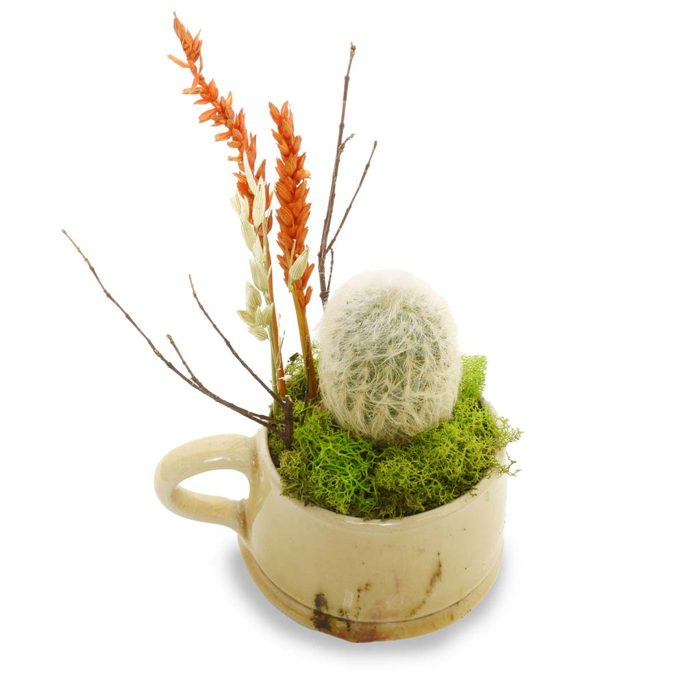 Gardens of Cartagena (AR2506)