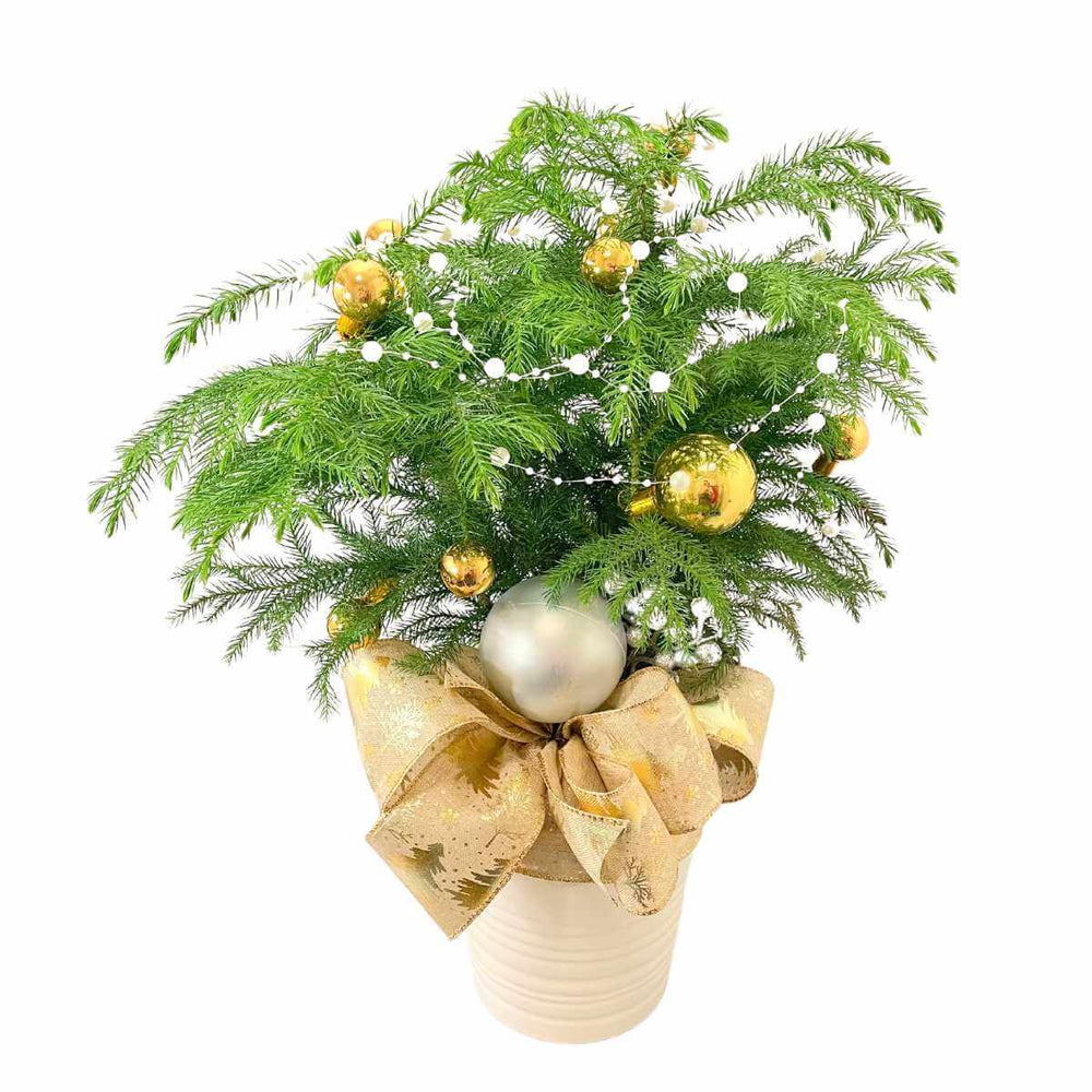 Christmas Gift Tree with silver and gold accents from Vancouver Flower Shop Adele Rae Florist