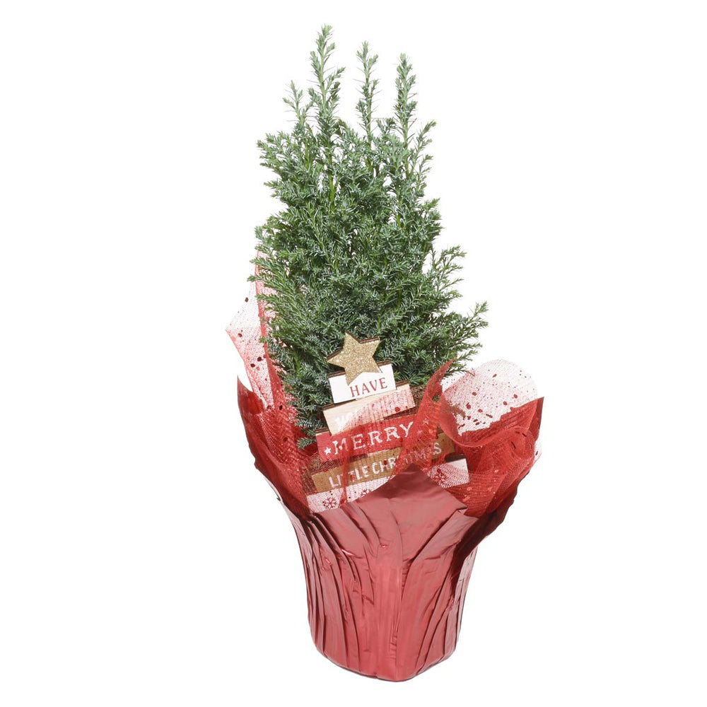 A Christmas Carol Tree (AR2700)
