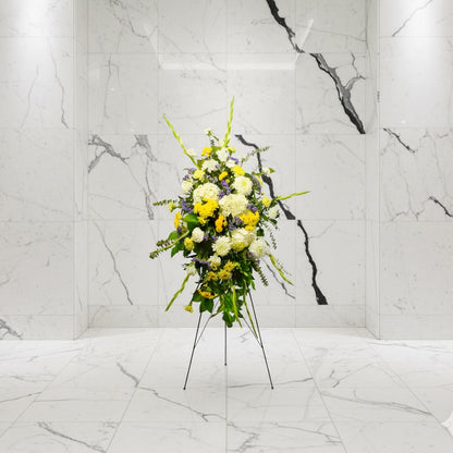 In our Minds (AR1711)