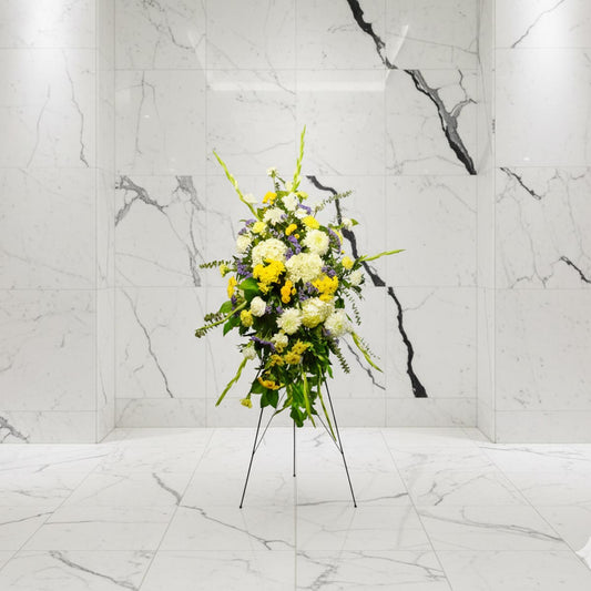 In our Minds (AR1711)