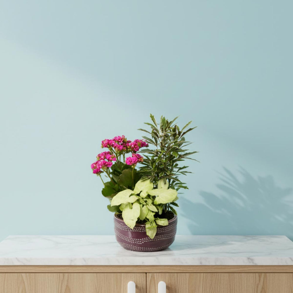 Mom's Favourite Garden (AR4230)