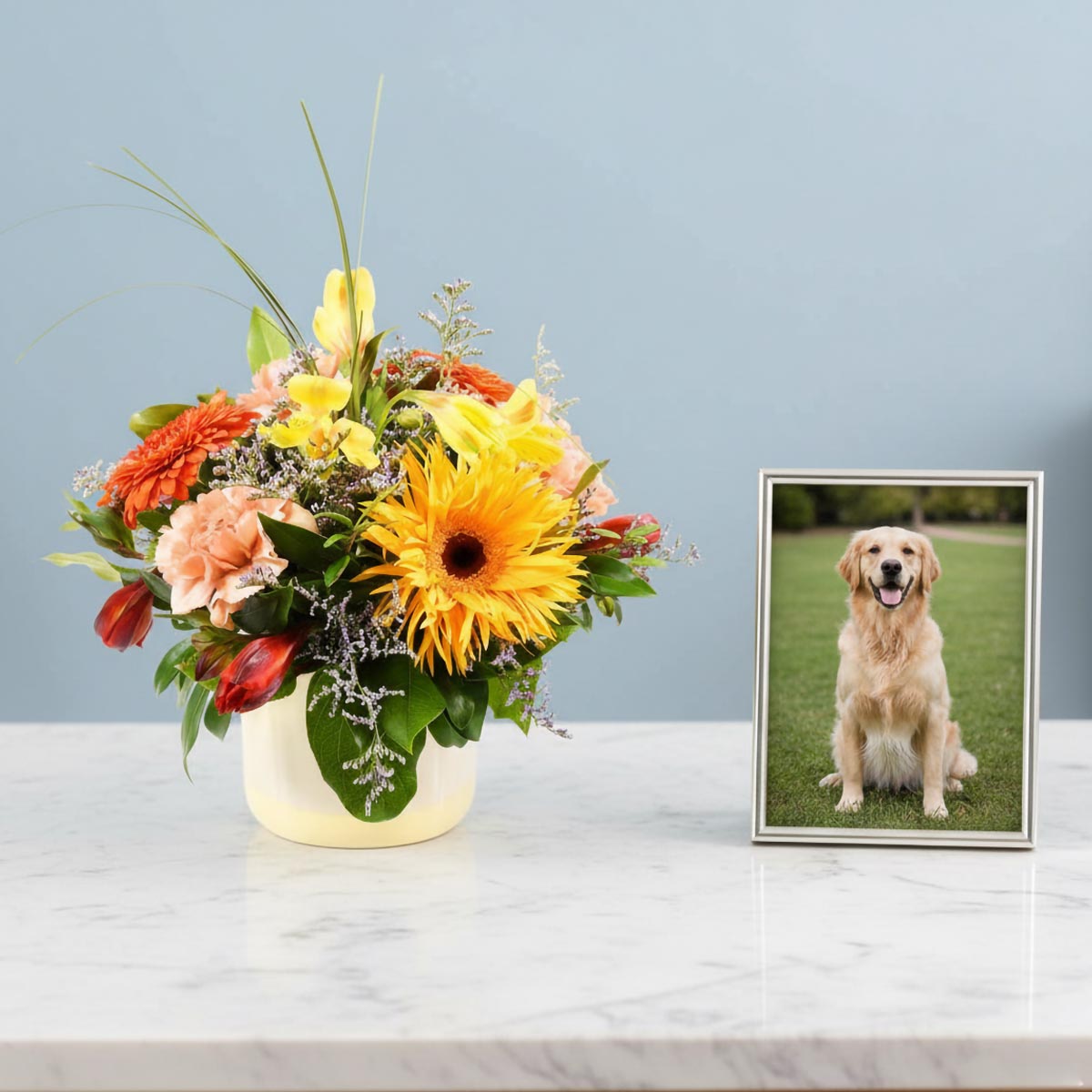 永遠的朋友 (AR4015)