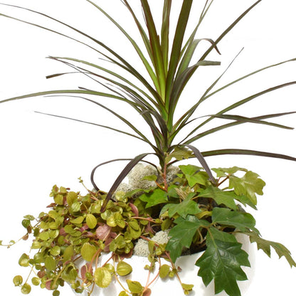 Yasawa Gardens (AR2213)