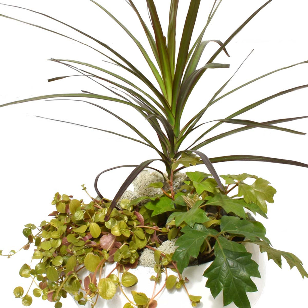 Yasawa Gardens (AR2213)