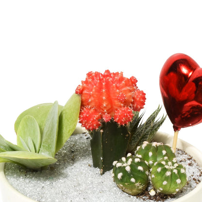 聖塞瓦斯蒂安花園（AR2291）