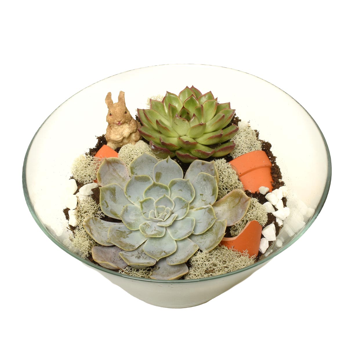 Garden Succulent Dreams Terrarium (AR2281)