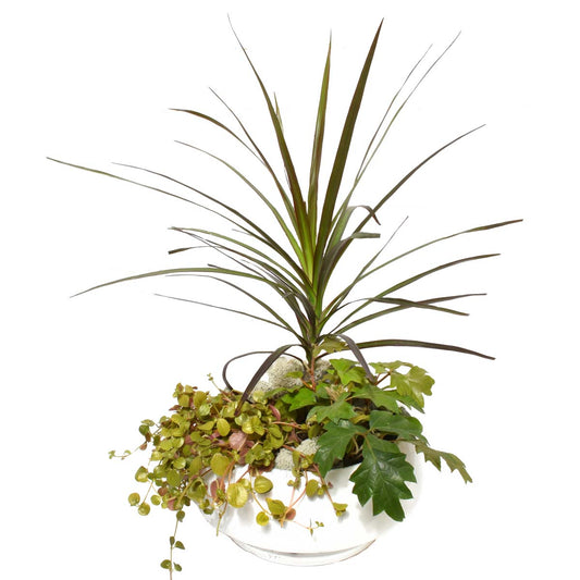 Yasawa Gardens (AR2213)