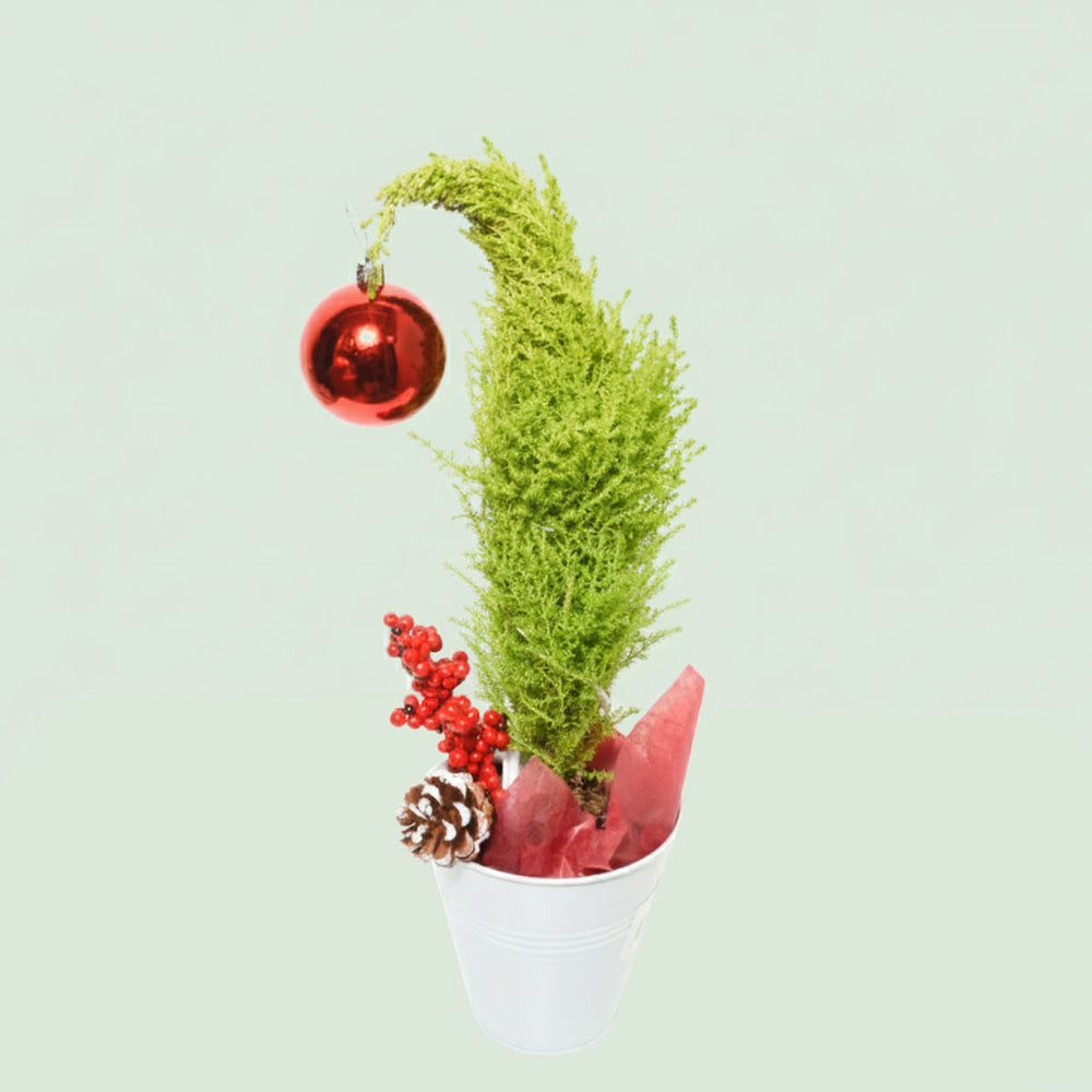 Happy Kranky Little Christmas Tree ( CG2008 )