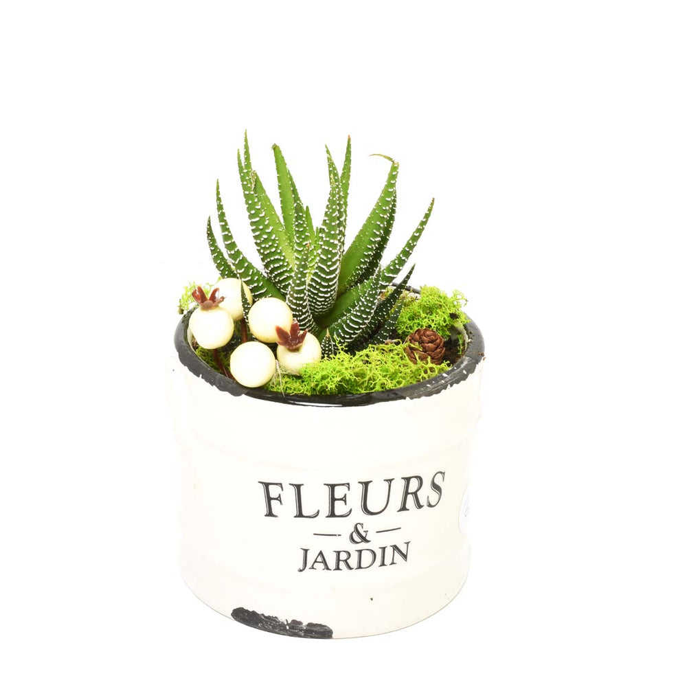 Gardens of Alcala (AR2282)