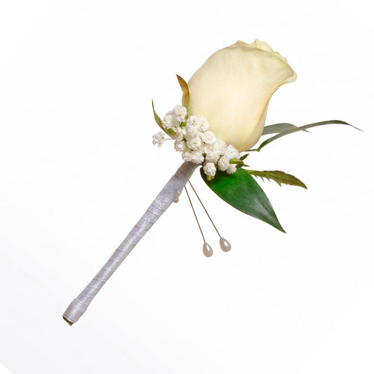 Boutonnière du roi (AR2313)