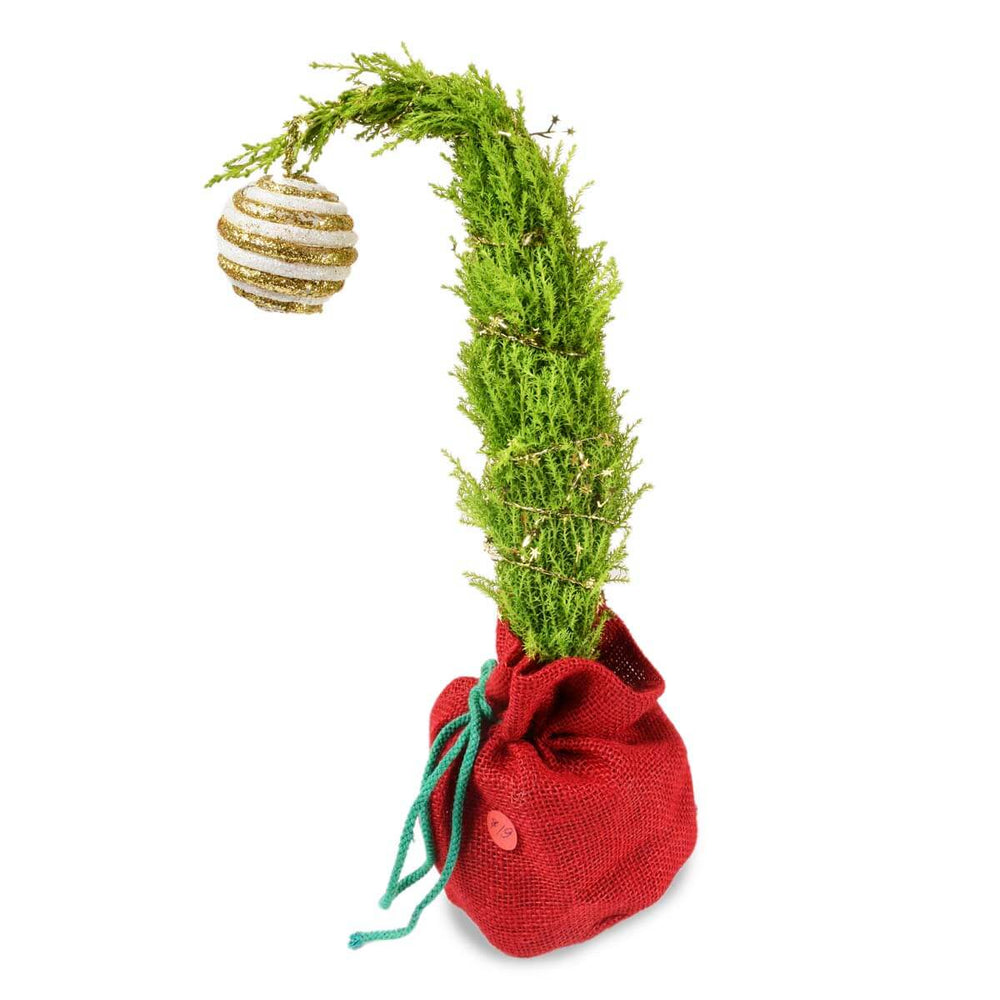 Joyeux petit sapin de Noël (CG2008)
