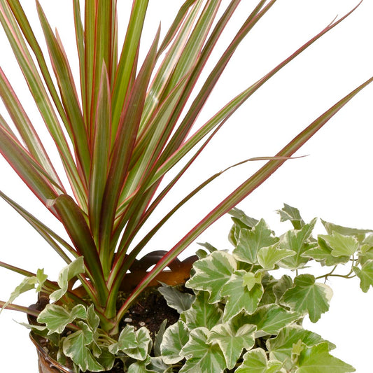 Maui Tropical Plant Basket (AR2216)