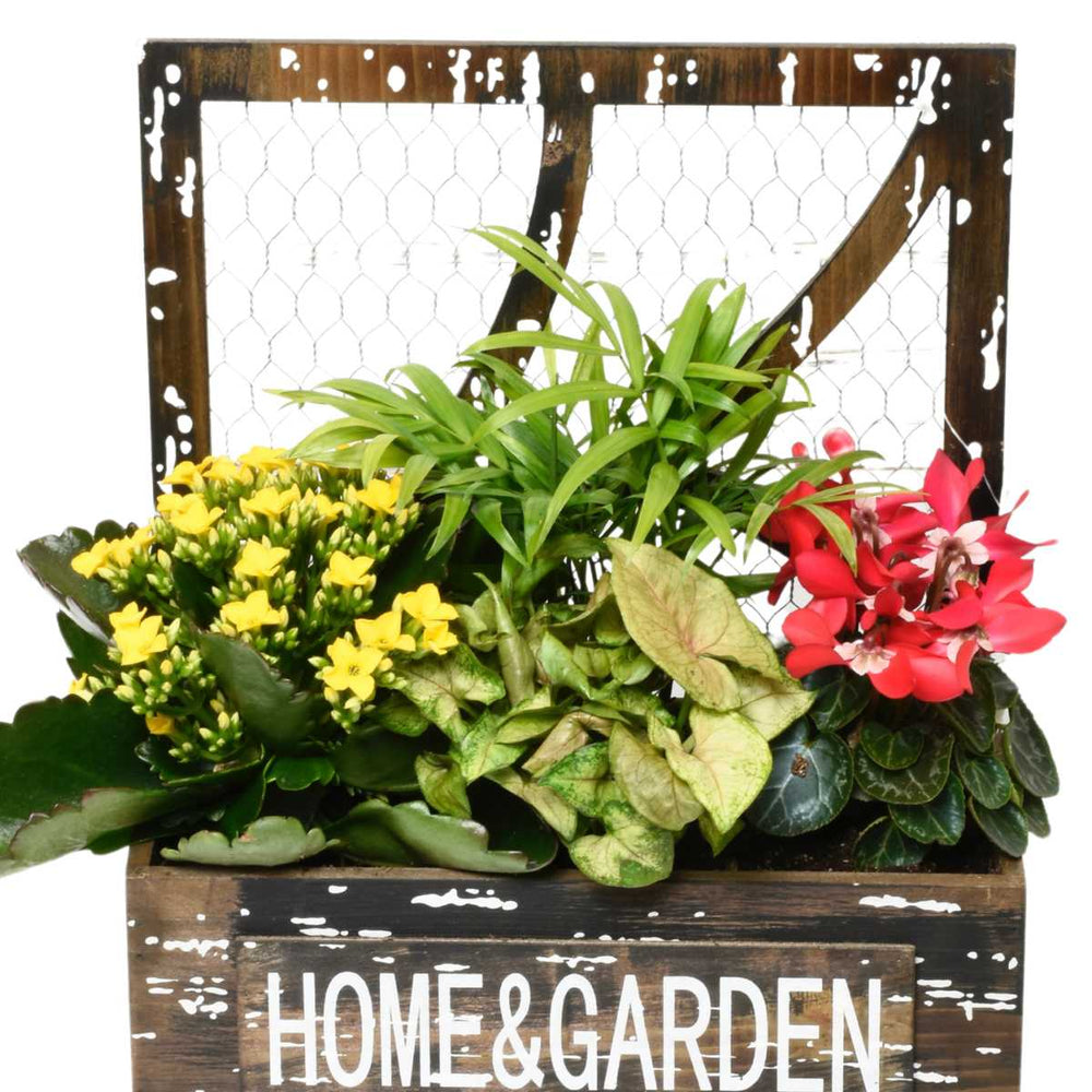 Le jardin préféré de maman (AR4230)