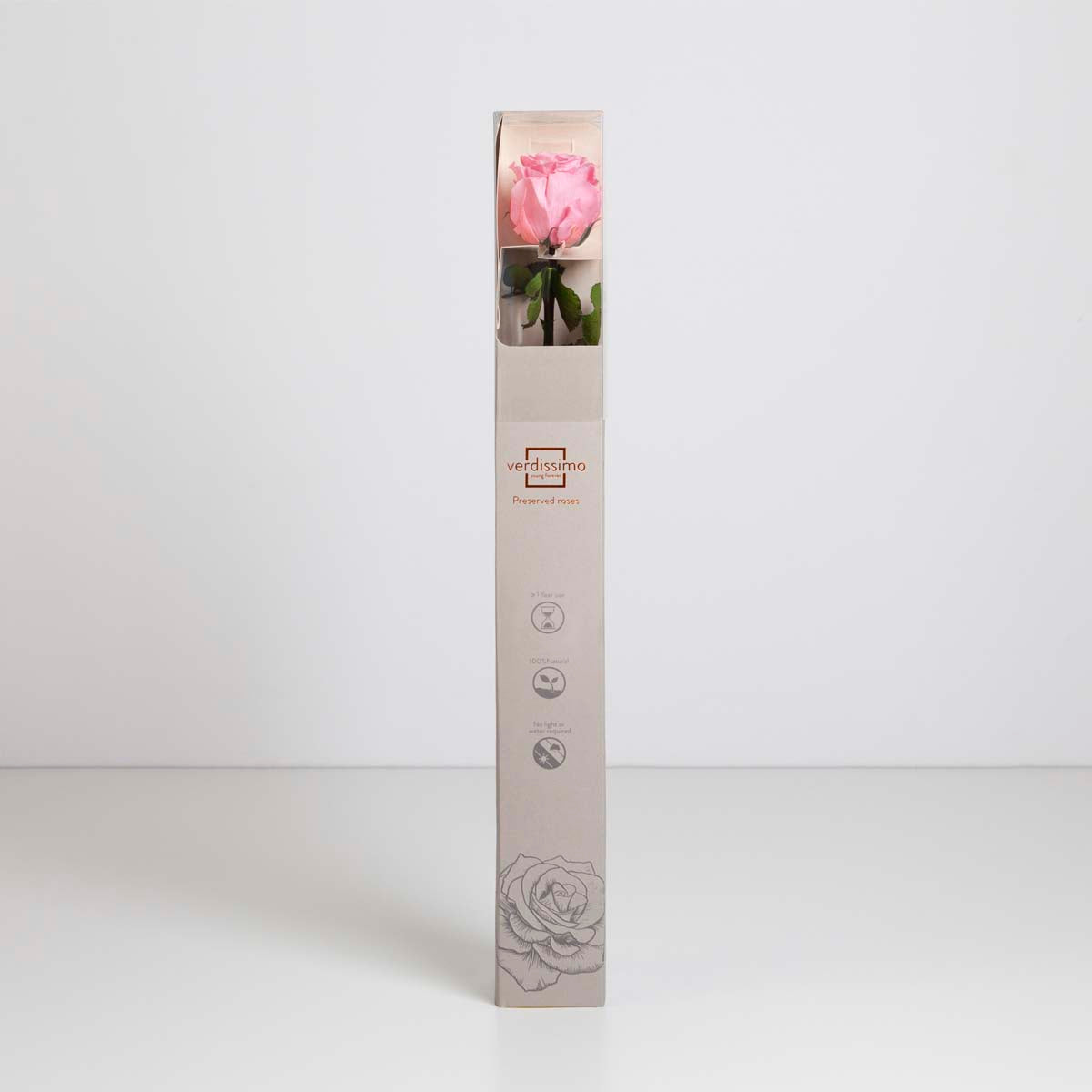 Preserved Pink Rose in Gift Box (PR1001)