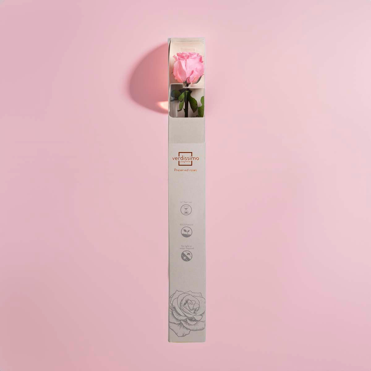 Preserved Pink Rose in Gift Box (PR1001)