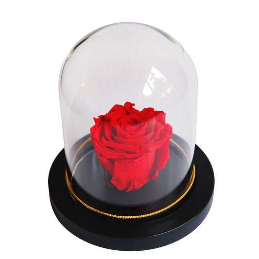 Eternal Love - Preserved Red Rose Dome (PR1007)