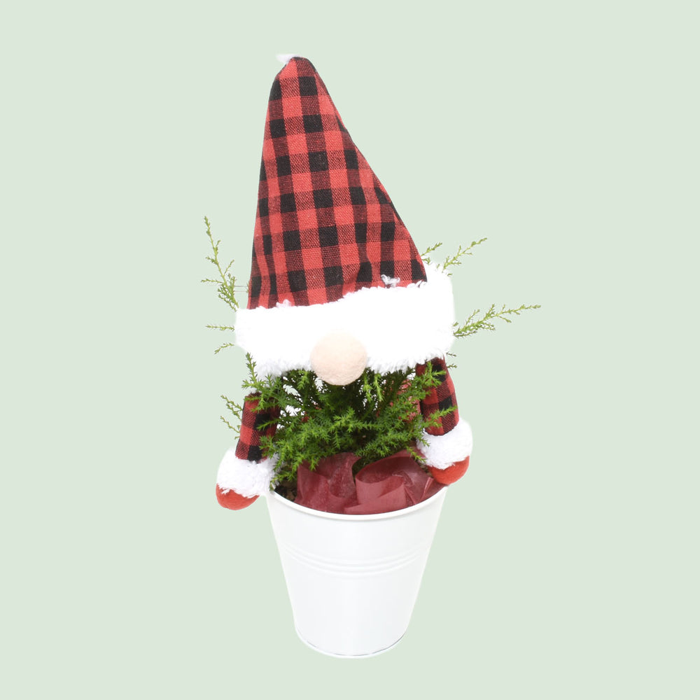 Santas Helper Gnome Tree (AR2643)