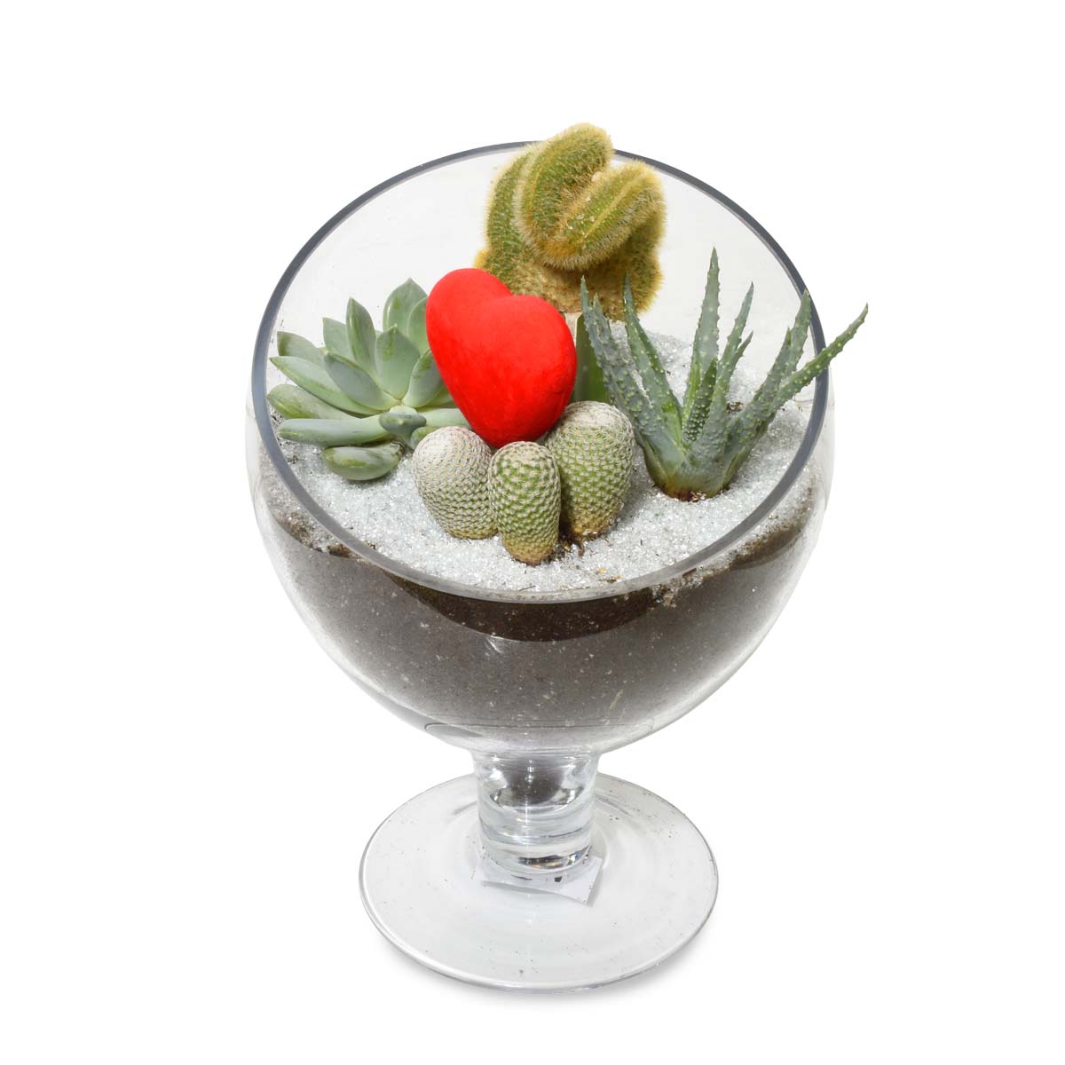 The Succulent Terrarium (AR2531)