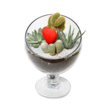 The Succulent Terrarium (AR2531)