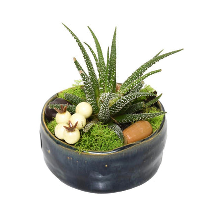 Gardens of Ibiza (AR2283)