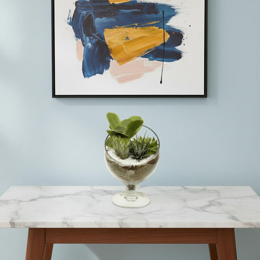 The Succulent Terrarium (AR2531)