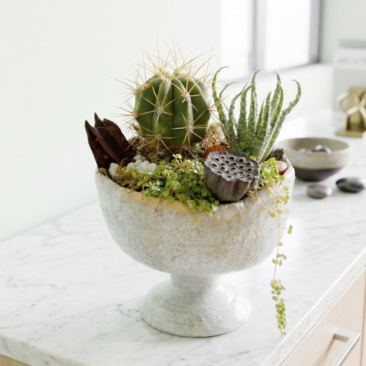 Decorative planter with cactus and succulents on a marble surface, handmade ceramic by Vancouver local artist Nina Koba