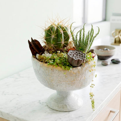 Decorative planter with cactus and succulents on a marble surface, handmade ceramic by Vancouver local artist Nina Koba