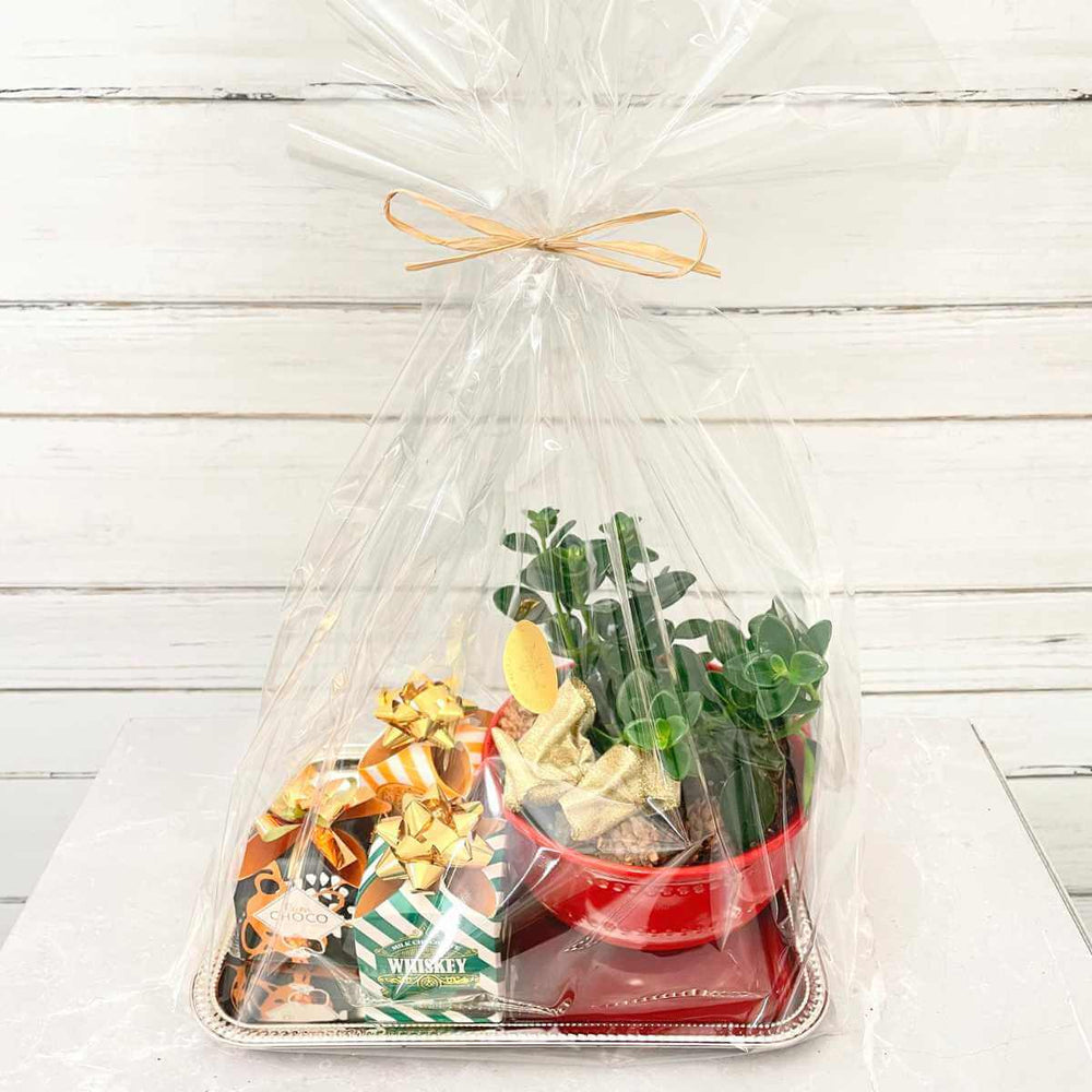 The Christmas Succulent Gift Set (AR4804)