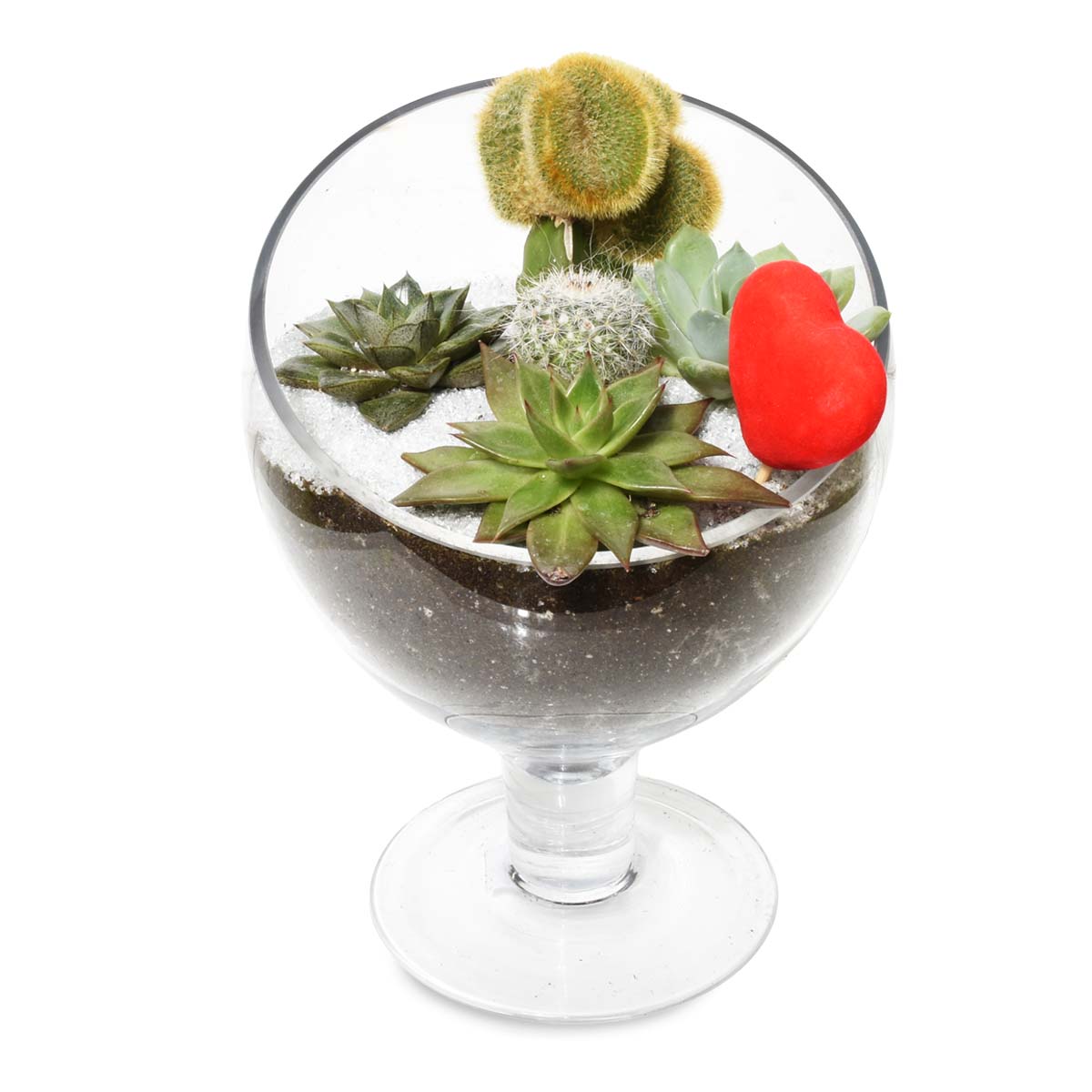 The Spring Terrarium (AR2530)