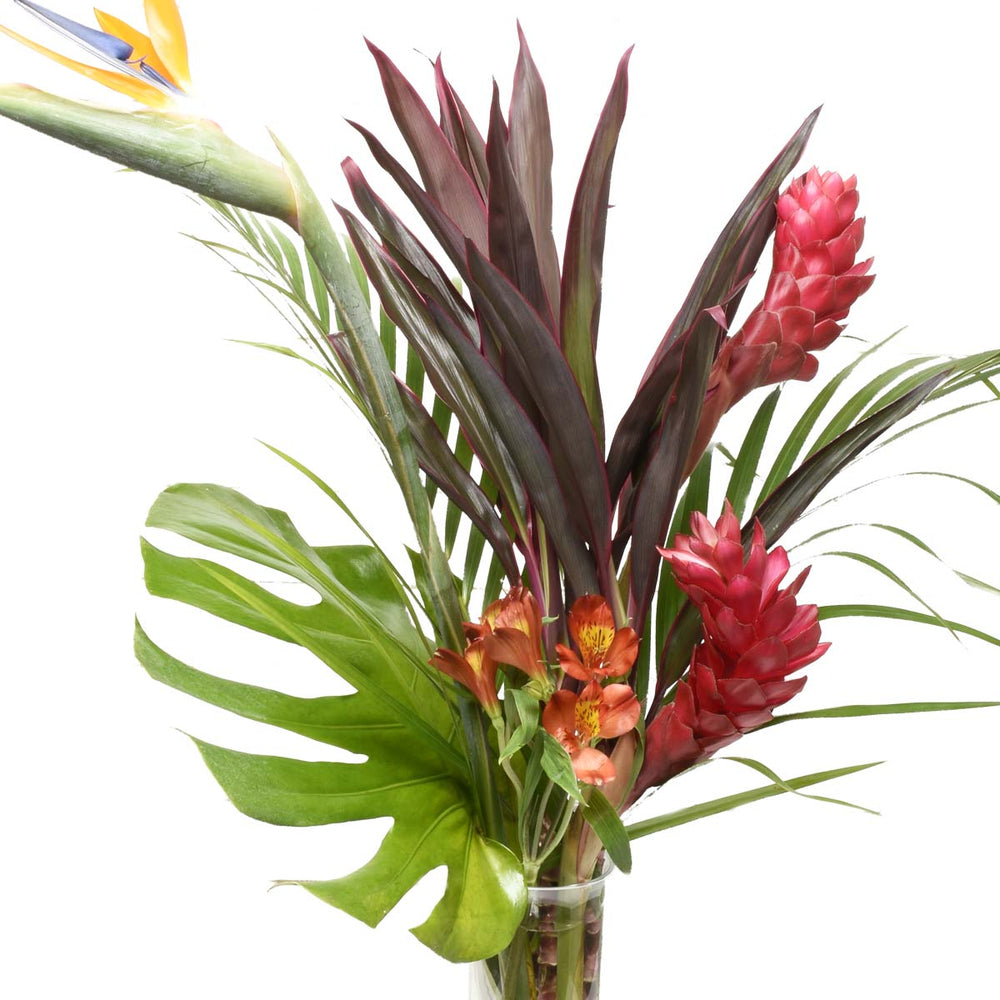 Bouquet d'anniversaire tropical (AR4286)