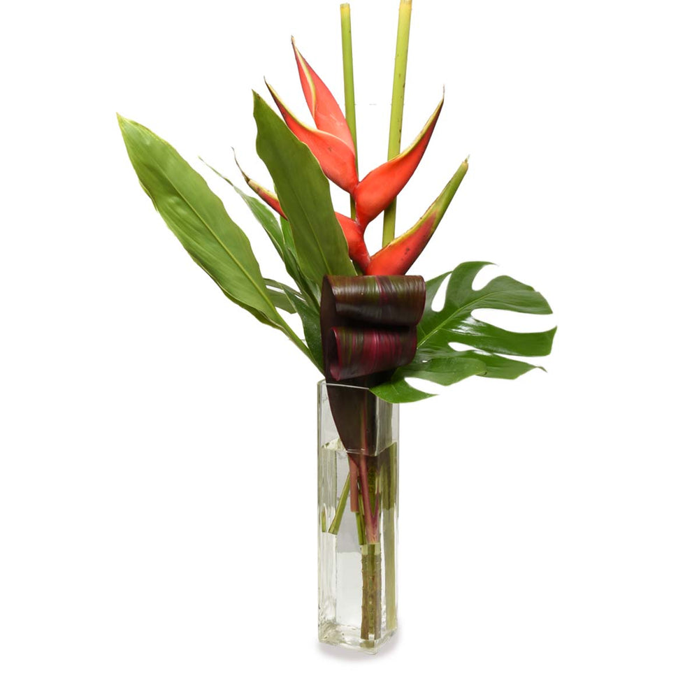 Composition florale « Rêves tropicaux » (AR4287)
