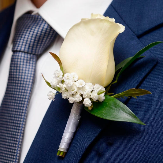 Boutonnière du roi (AR2313)