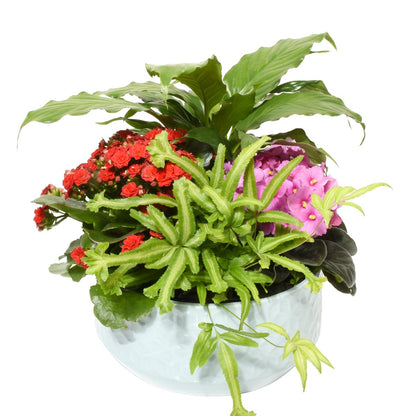 Yasawa Gardens (AR2213)