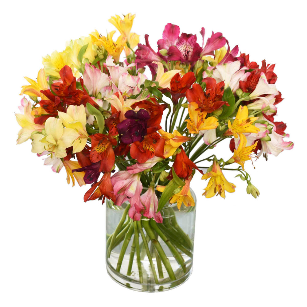Get Well Flower Bouquets in Burnaby BC | Adele Rae Florist