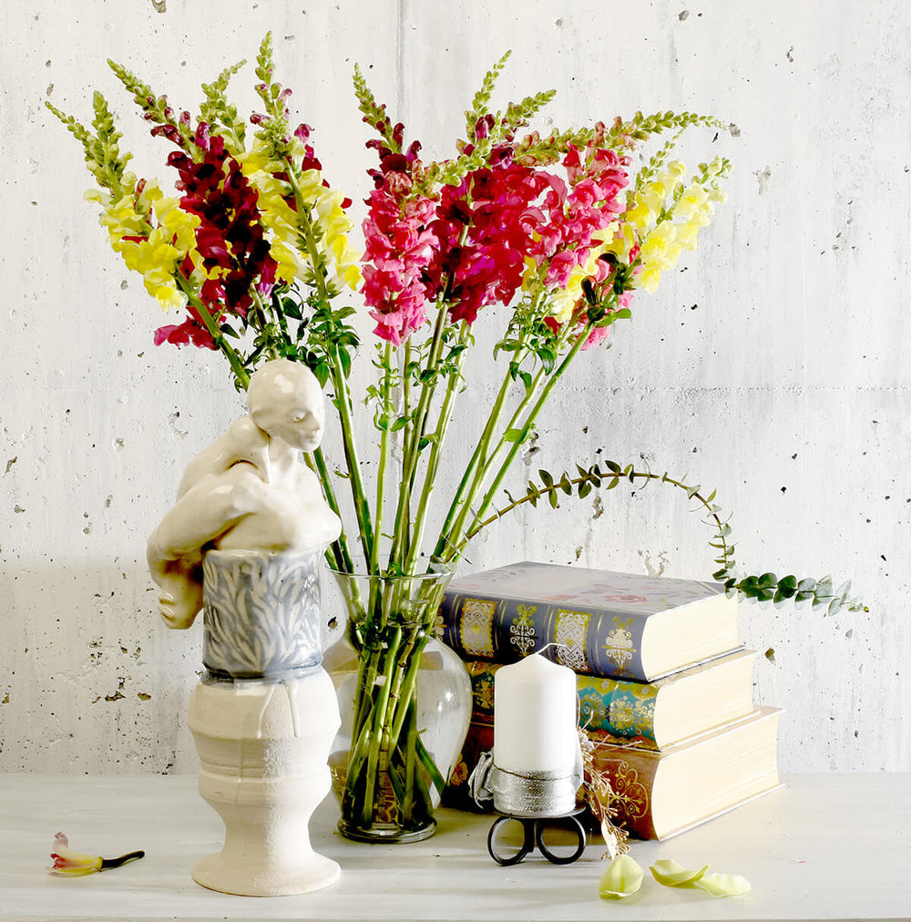 Snapdragon flower bouquet Vancouver & Burnaby | Adele Rae Florist